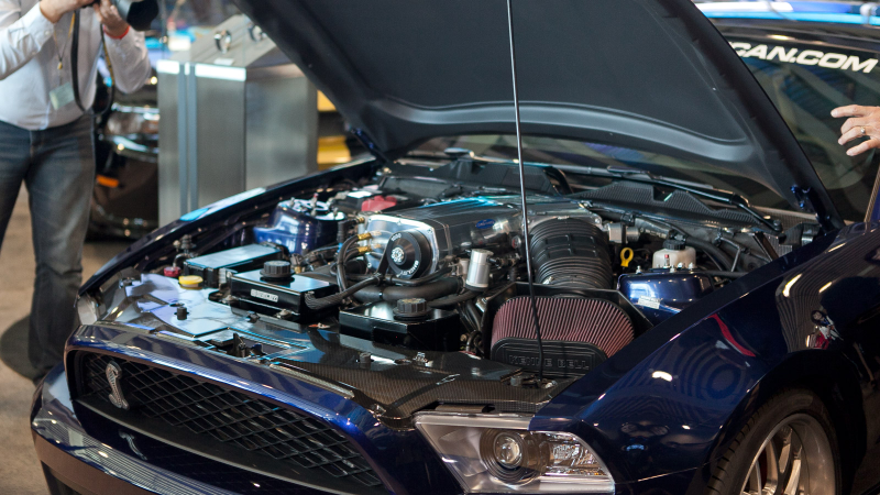 Illustration for article titled 2013 Shelby 1000